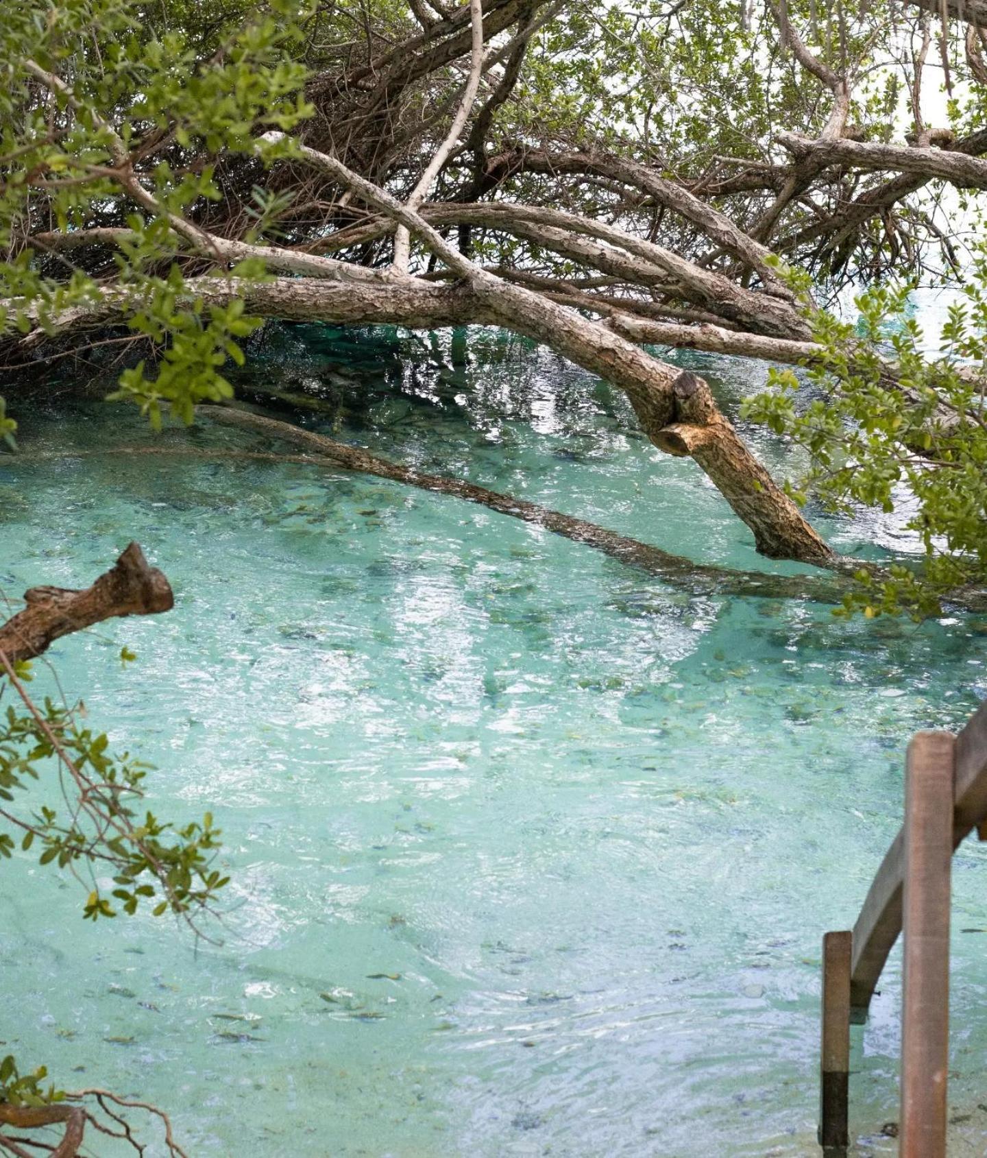 Kudhi Boli Beach House Thulusdhoo Exterior foto